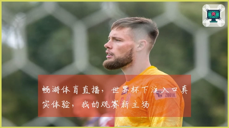畅游体育直播，世界杯下注入口真实体验，我的观赛新主场