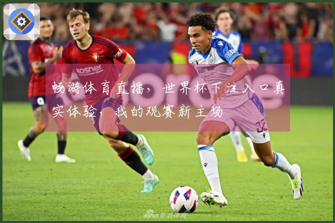 畅游体育直播，世界杯下注入口真实体验，我的观赛新主场