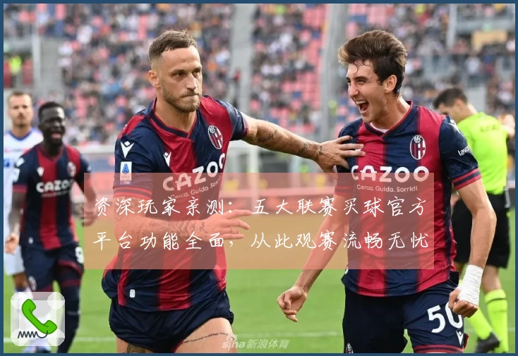 资深玩家亲测：五大联赛买球官方平台功能全面，从此观赛流畅无忧