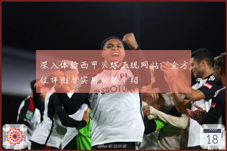 深入体验西甲买球正规网站：全方位评测与实用功能介绍